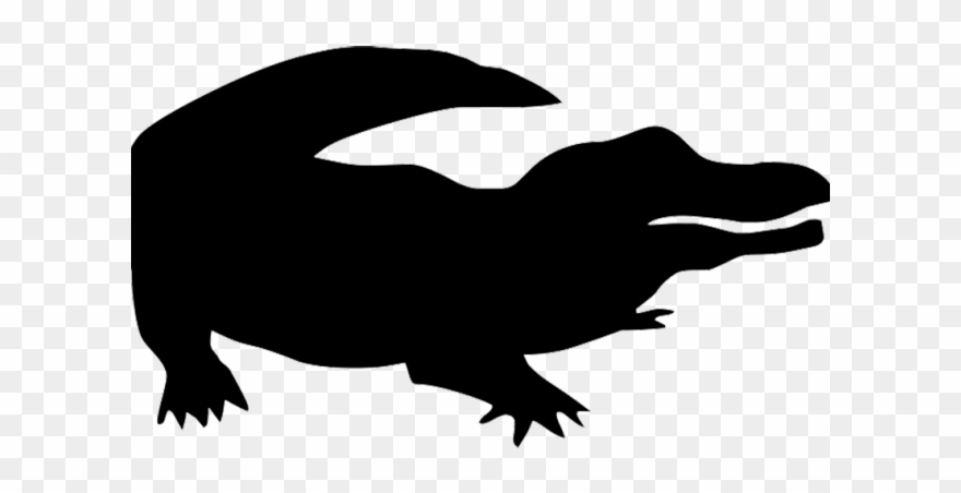 Swimming Clipart Shadow - Silouettes Of Zoo Animals - Png Download