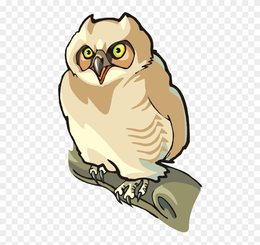 Free Owl Clipart - Clip Art Front Facing Owl - Png Download