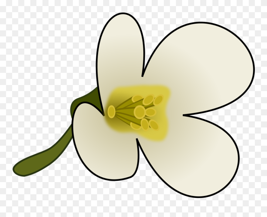 Clipart Flower With Pollen - Png Download