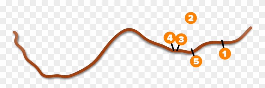 Classic Swimming Hole Adventure - Green River Adventures Clipart