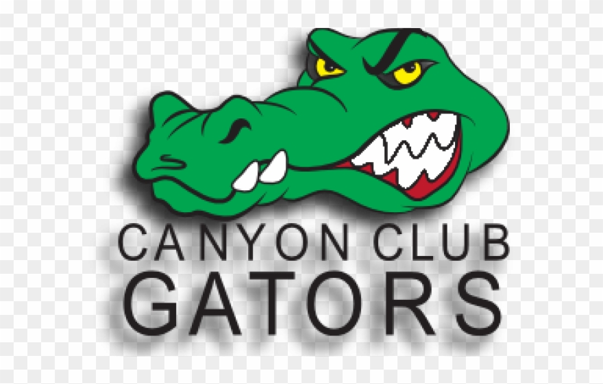 Swimming Clipart Alligator - Png Download