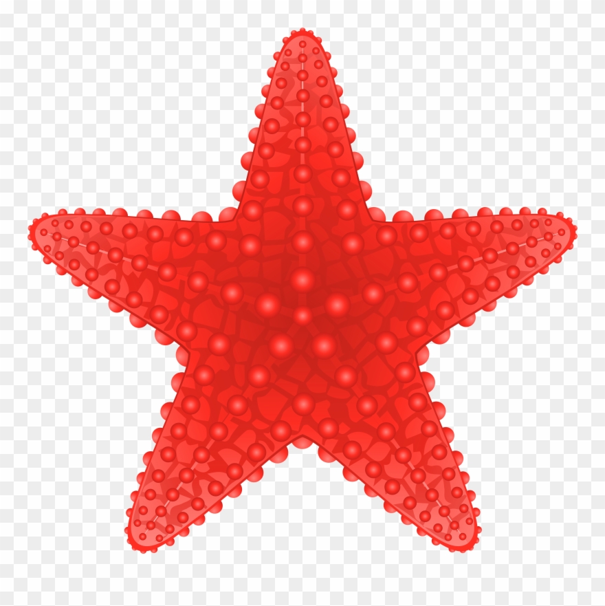 Starfish Transparent Png Clip Art Image Beach Clipart - Starfish Clip Art Png