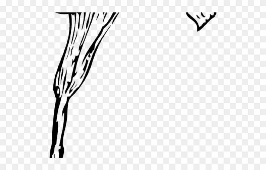 Calla Lily Clipart Altar Flower - Calla Lily Clip Art - Png Download