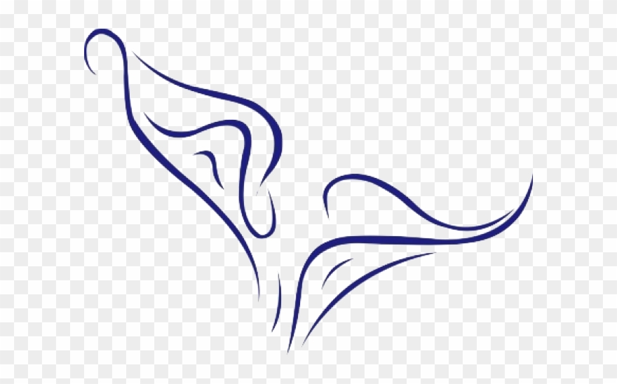 Calla Lily Vector Png Clipart