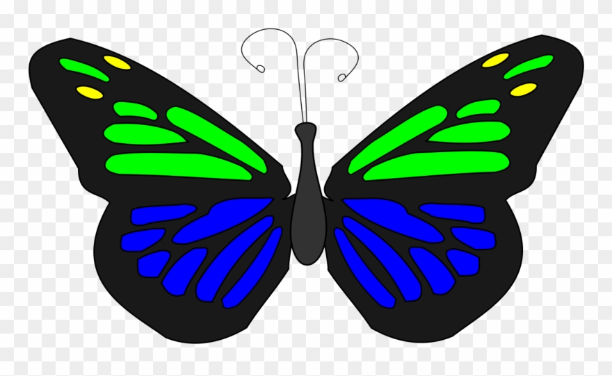 Big Image - Monarch Butterfly Clipart