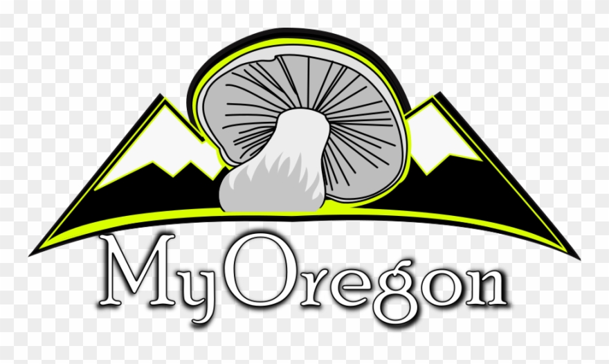 Logo - Wimer Covered Bridge Clipart