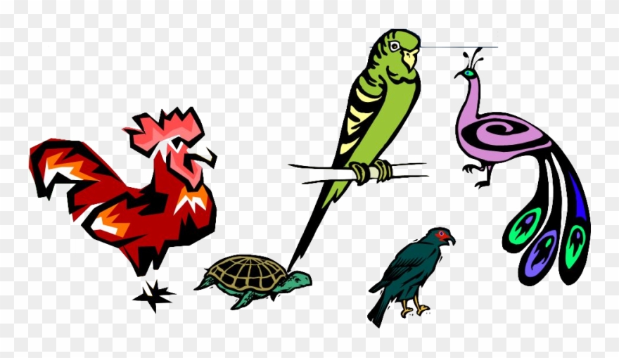 Website Clipart