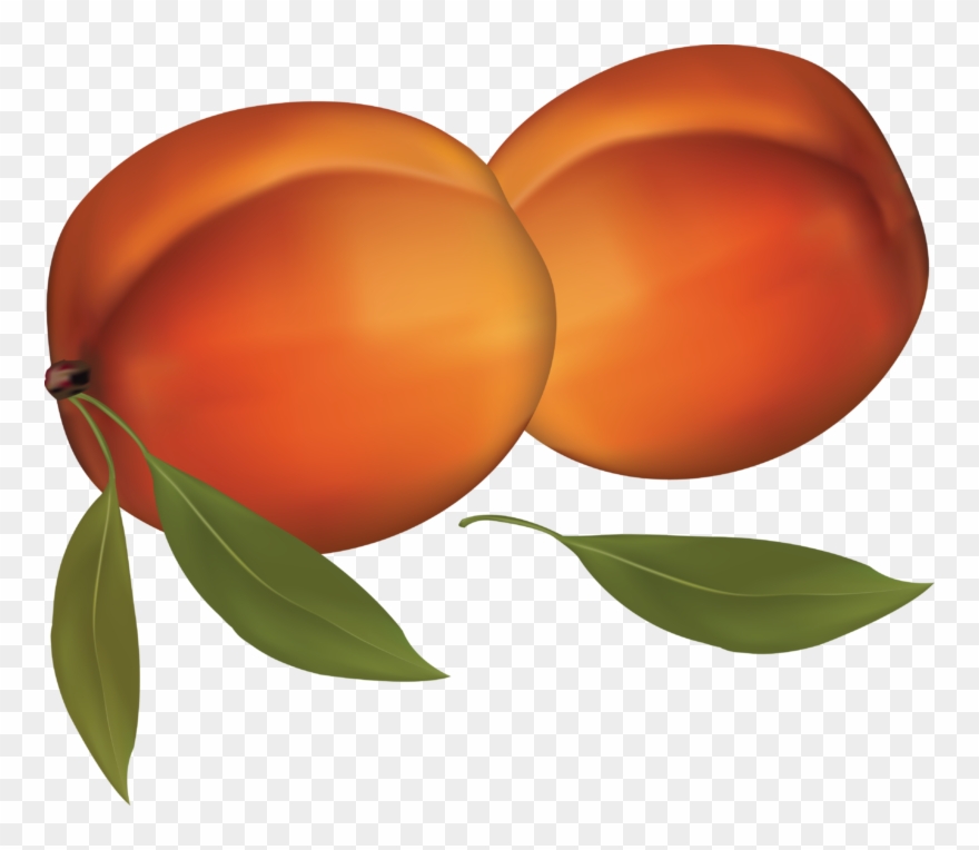 Peach Clipart - Peach Clipart Transparent Background - Png Download
