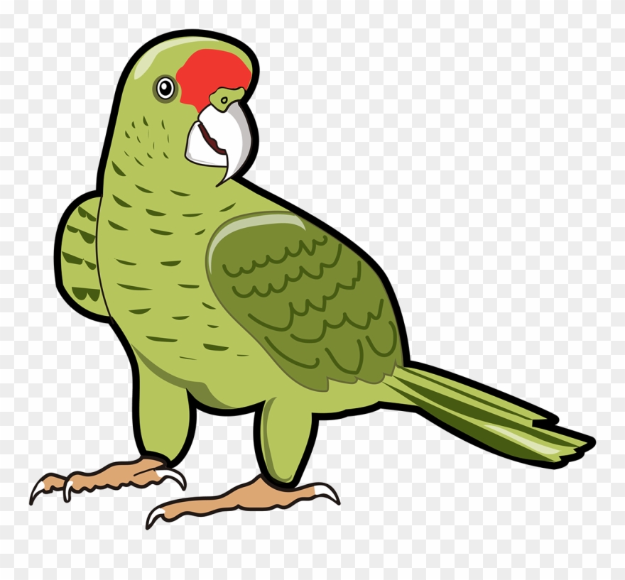 Recursos Gráficos Para Diseñadores, Jóvenes Y Profesores Clipart