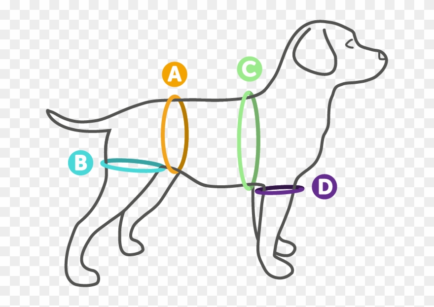 A - Dog Catches Something Clipart