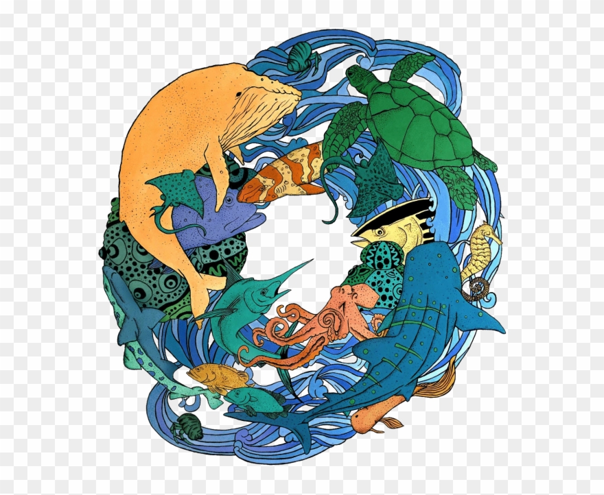 Water Sports & Excursions - Illustration Clipart