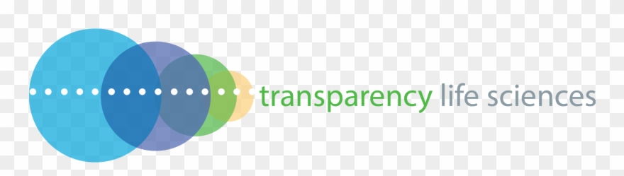 Graphic Design Clipart