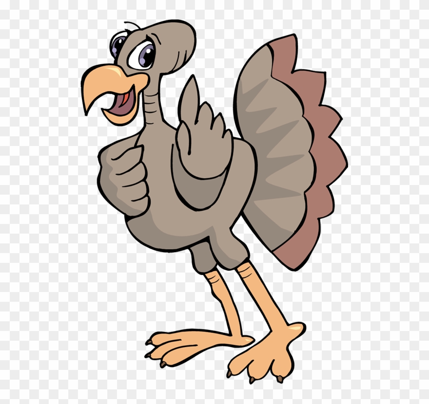 Turkey Clipart