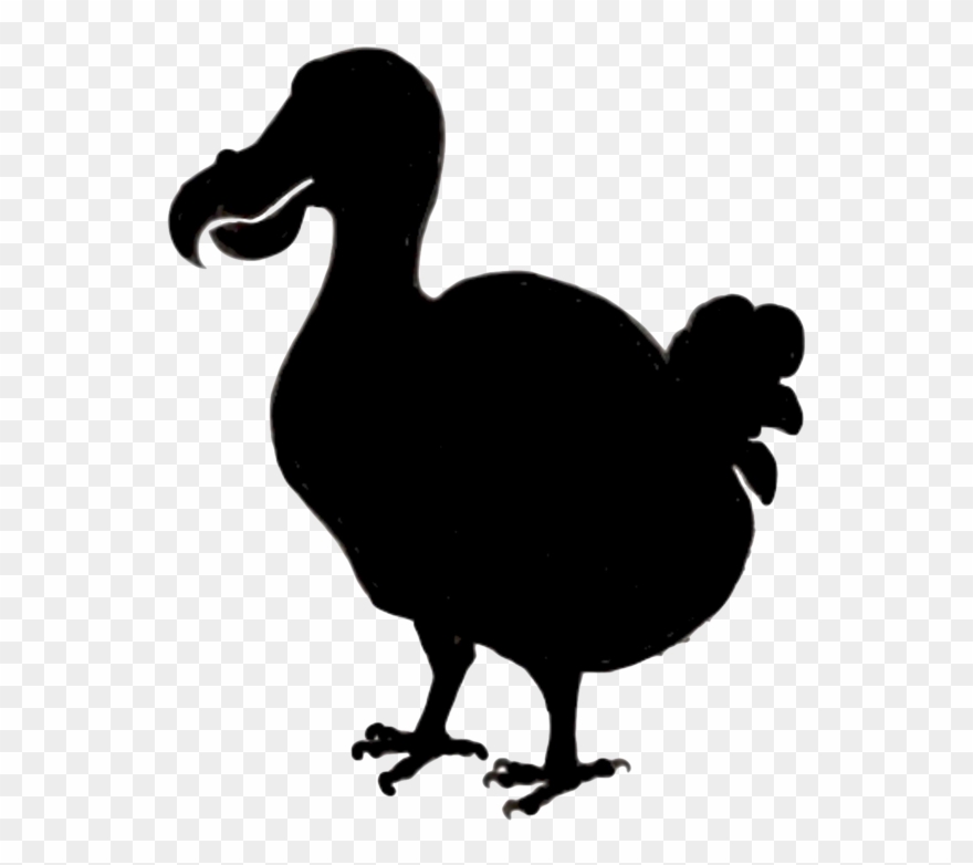 The Dodo - Dodo Clipart