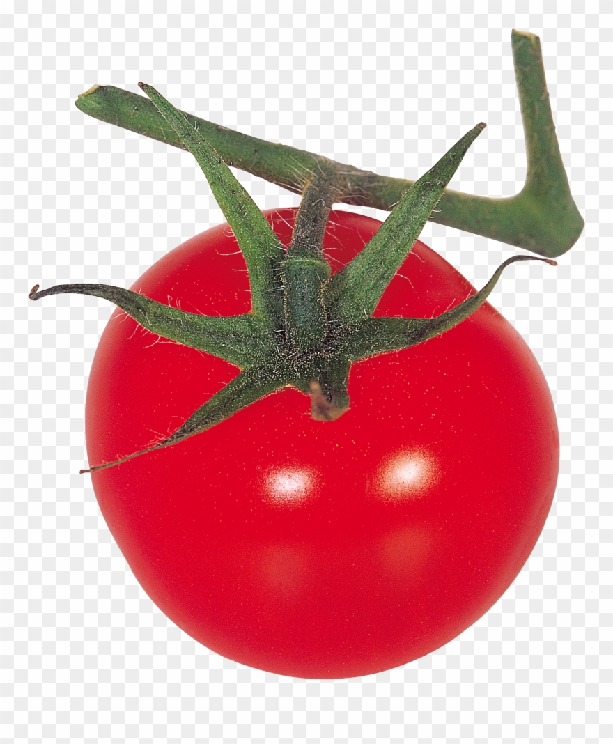 Thirty Eight Isolated Stock Photo By Nobacks - Tomato Clipart