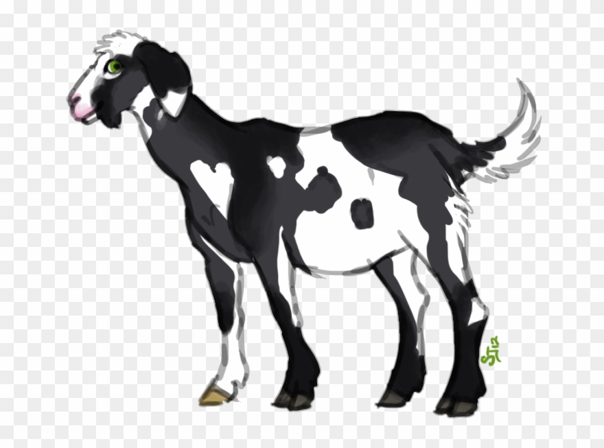 N - [nubian Goat - Snowshoe] - Art Clipart