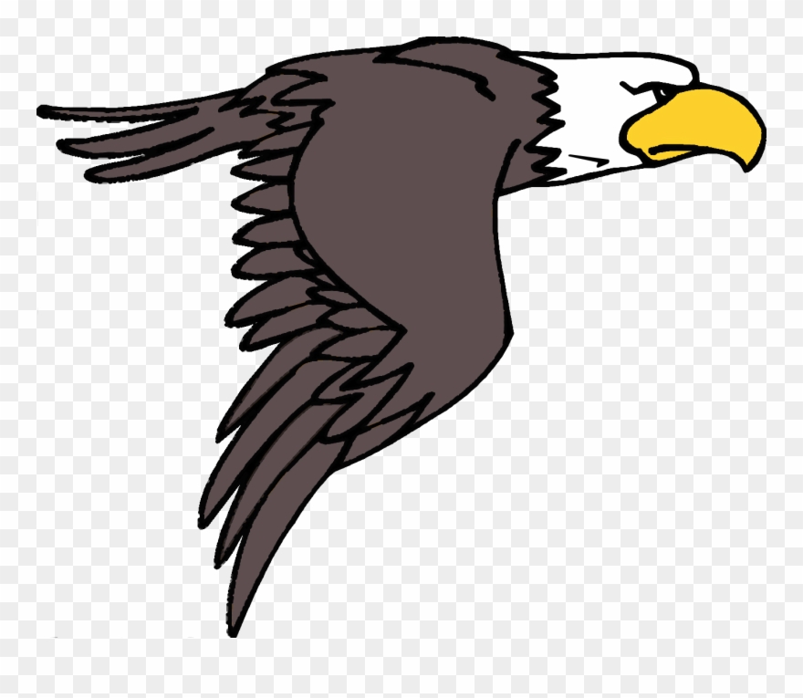 Cafferata Jr - Eagle Clip Art - Png Download