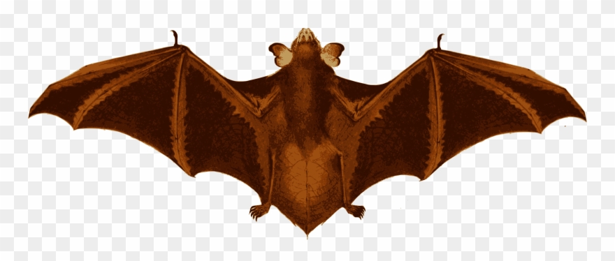 Big Image - Ceramic Clipart