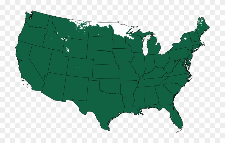 Bald Cypress Tree For Sale The Tree Center - Whitefish Montana On Map Clipart