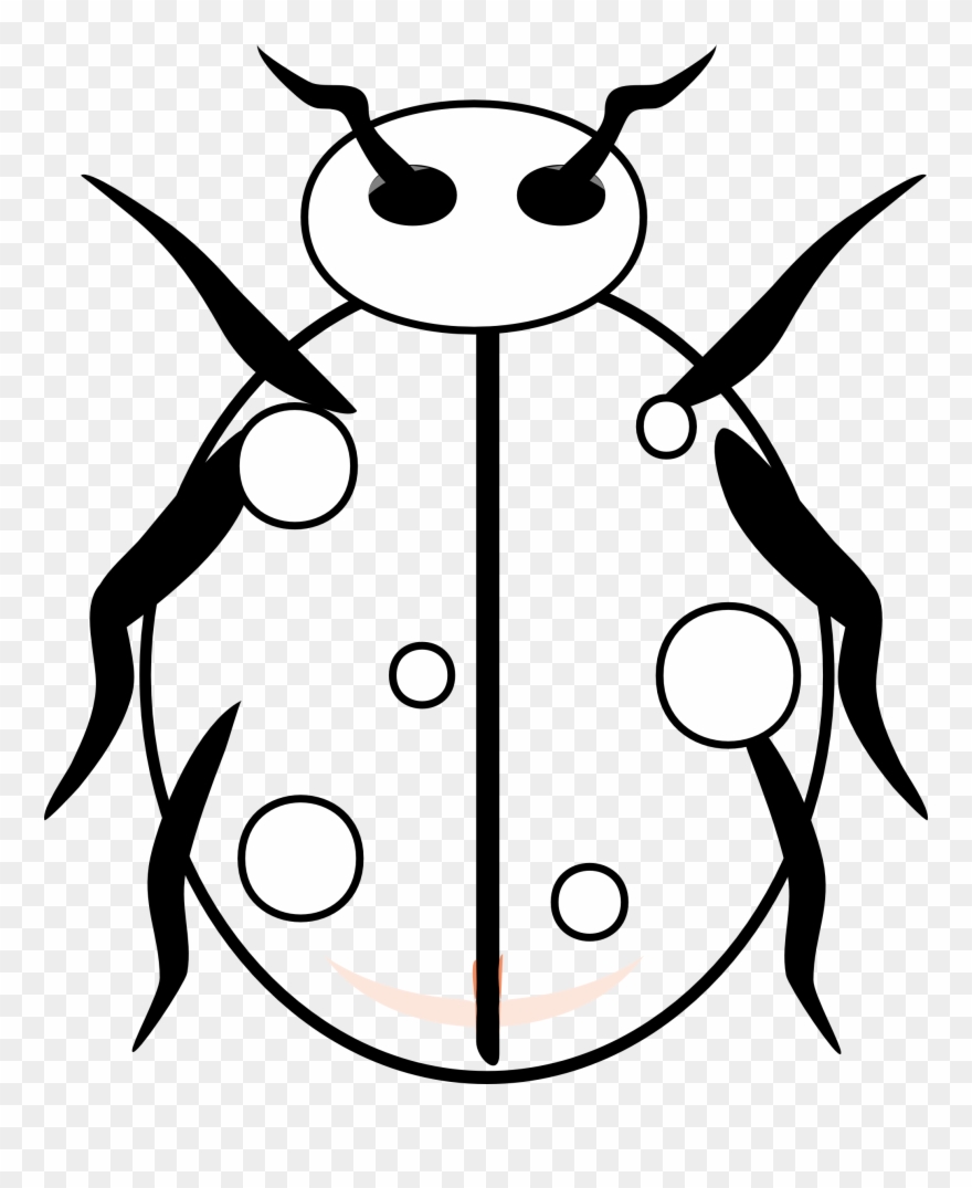 Drawing Ladybug Printable Free Library Clipart