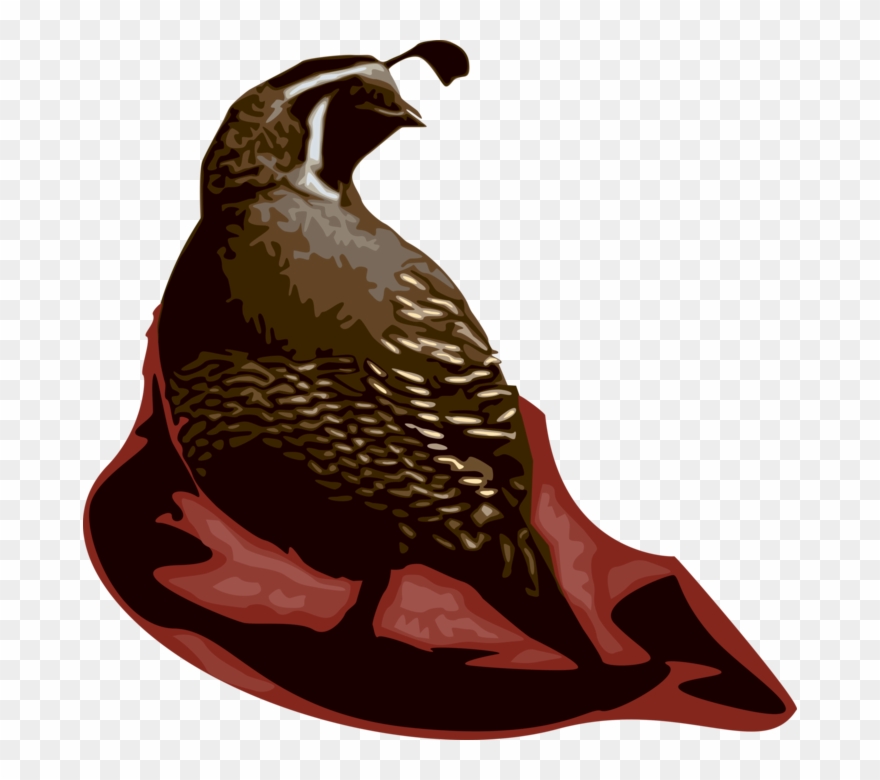 Vector Illustration Of Quail Bird Farm-raised For Table Clipart