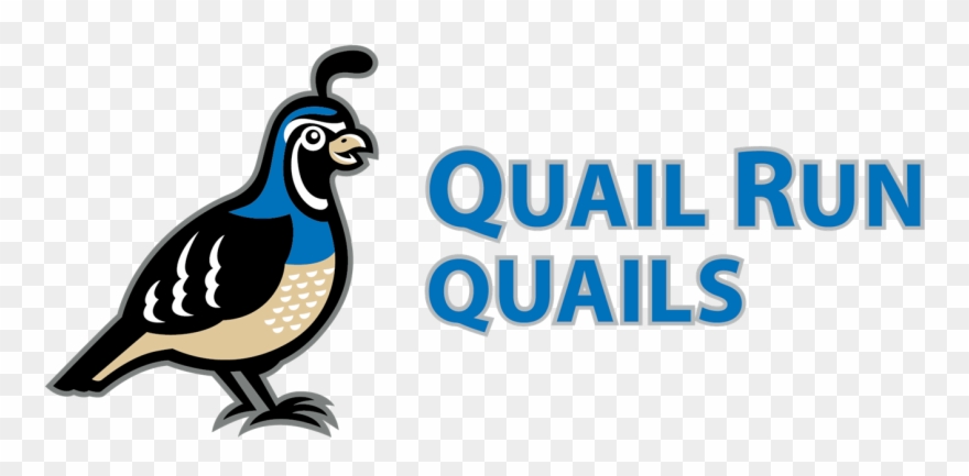 About Quail Run - Quail Run Elementary School Clipart