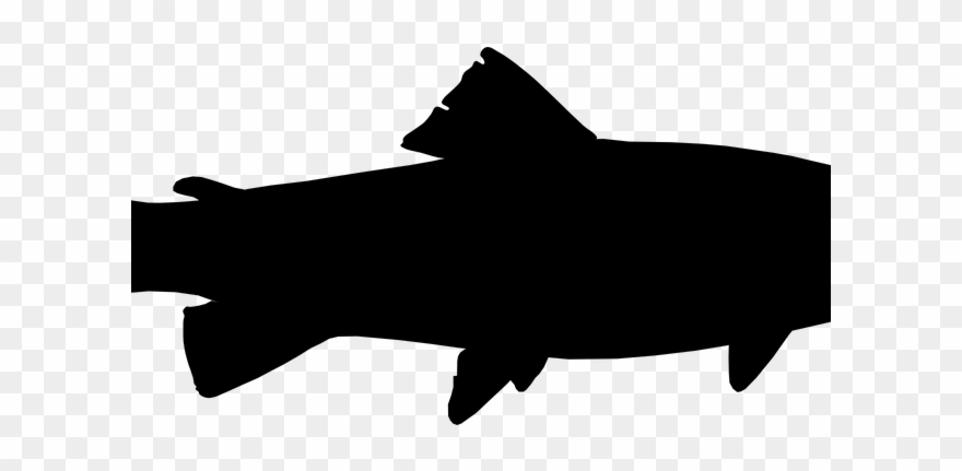 Fishing Pole Clipart Transparent Background - Got Fish? Shower Curtain - Png Download