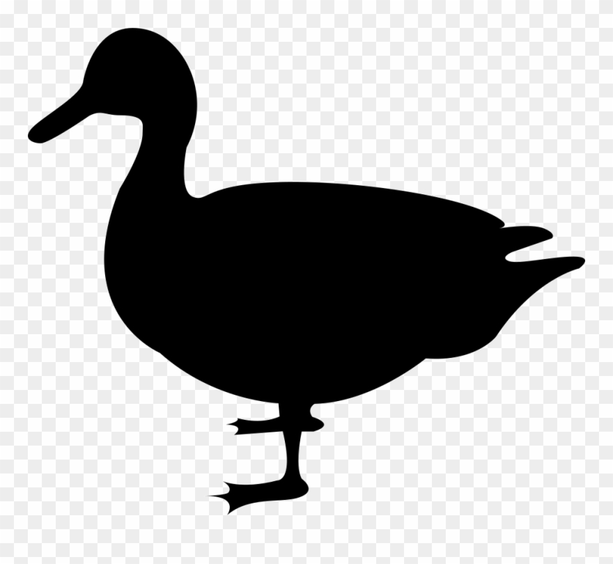 Jpg Transparent Download Duck Svg Png Icon Free Download - Duck Svg Clipart