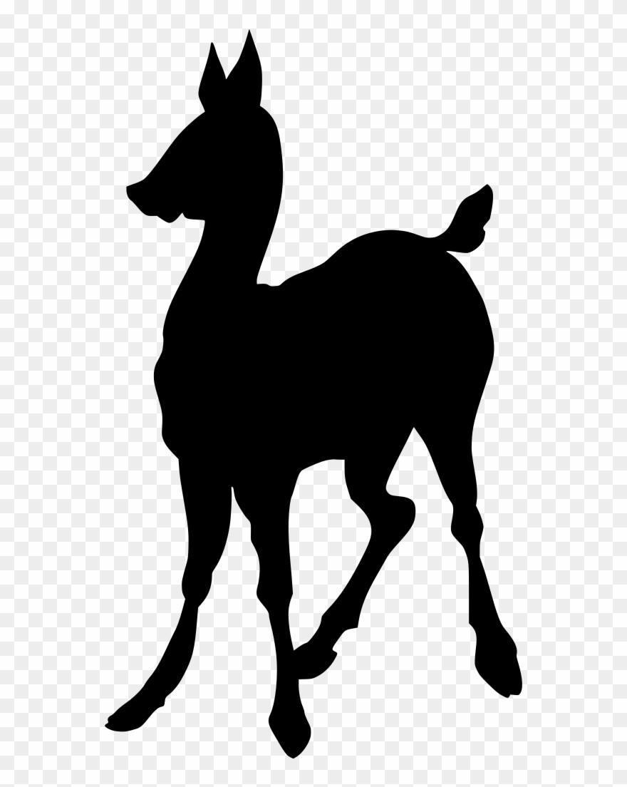 Info - Portable Network Graphics Clipart