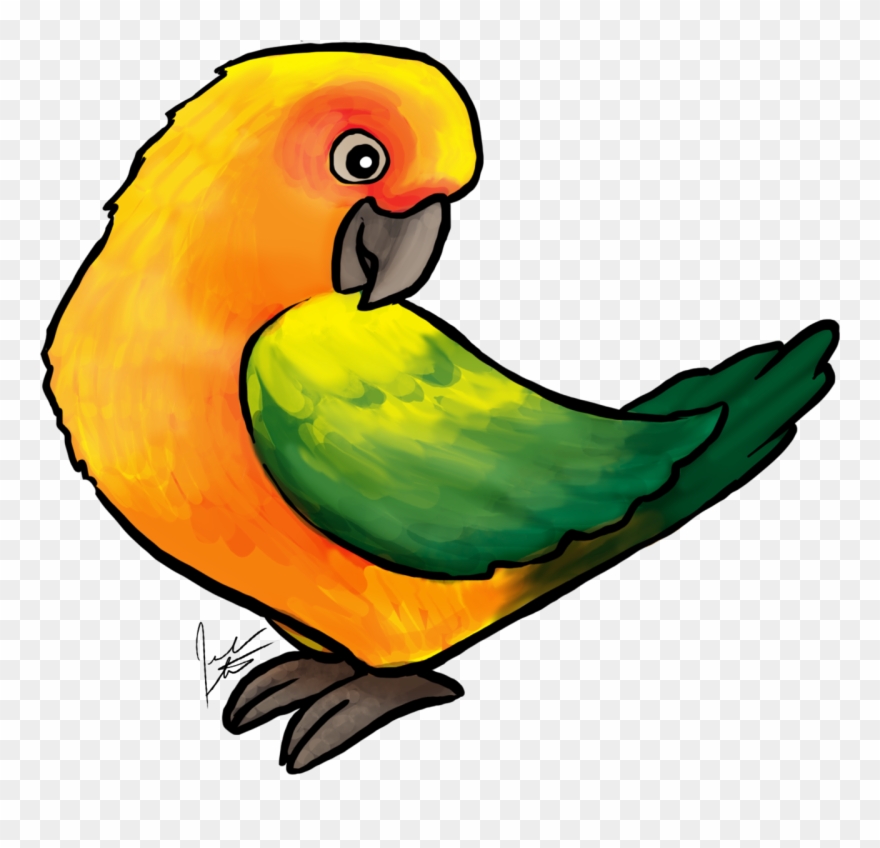 Jen's Dogs Has Posted It's First Bird Art The Sun Conure - Conure Clipart