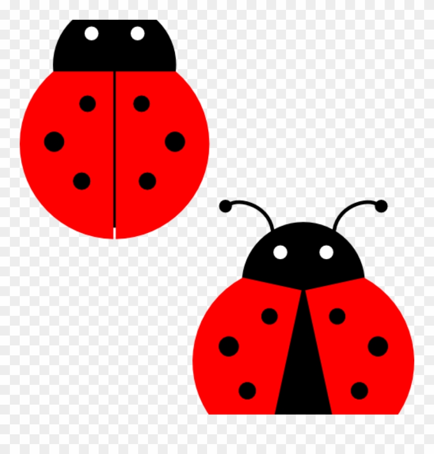 Ladybugs Clipart Ladybugs Clip Art At Clker Vector - Cartoon Clip Art Lady Bug - Png Download