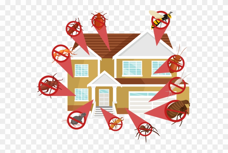 Professional Pest Control Companies Will Go An Extra - Protect From Pest Home Clipart