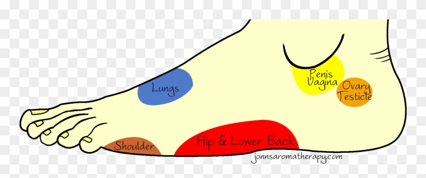 Foot - Outside Clipart