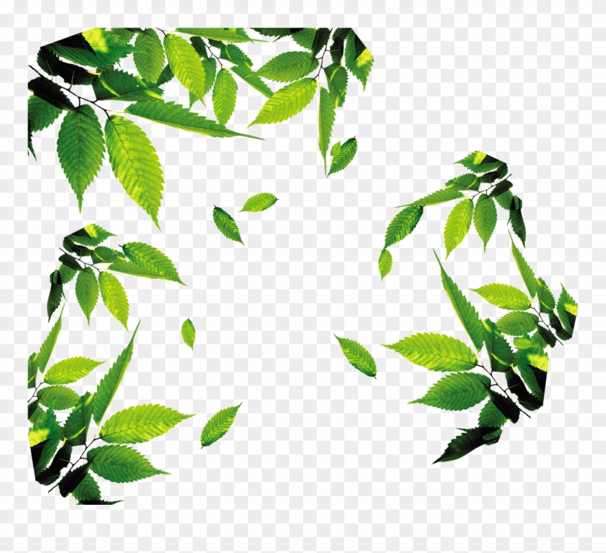 Leaf Download Icon - Leaves Png Clipart