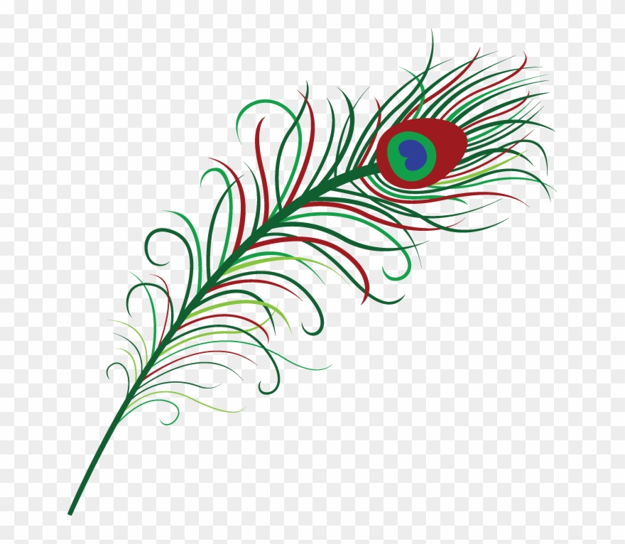 Pluma 689×686 Píxeles - Peacock Feathers Clipart Png Transparent Png