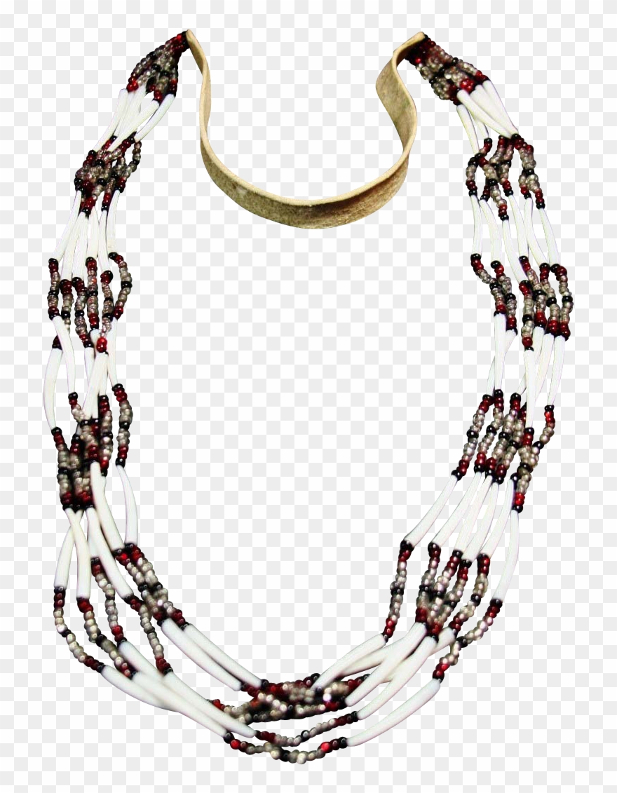 Native American Dentalium Shell And Bead Necklace From Clipart