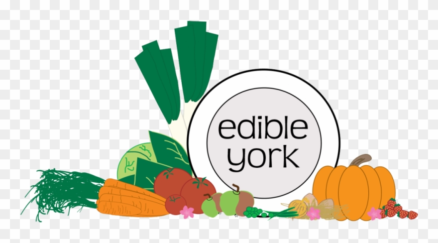 Cabbage Caterpillars Clipart