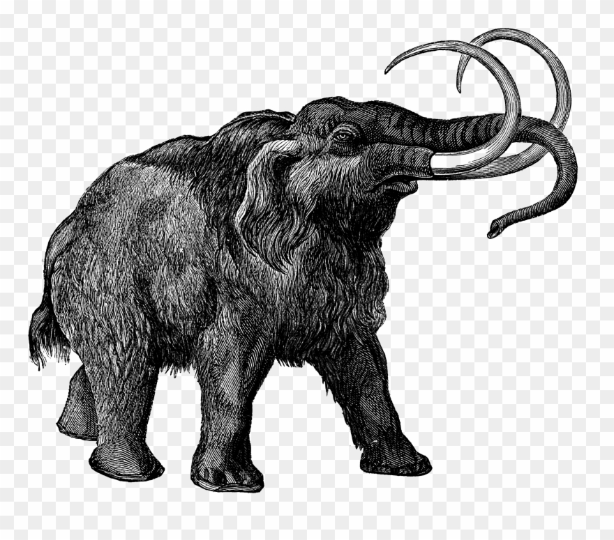 0473 Mammoth Free Vintage Clip Art - Story About Mammoth - Png Download