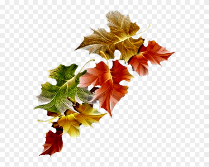 Automne - Free Animated Autumn Leaves Gifs Clipart