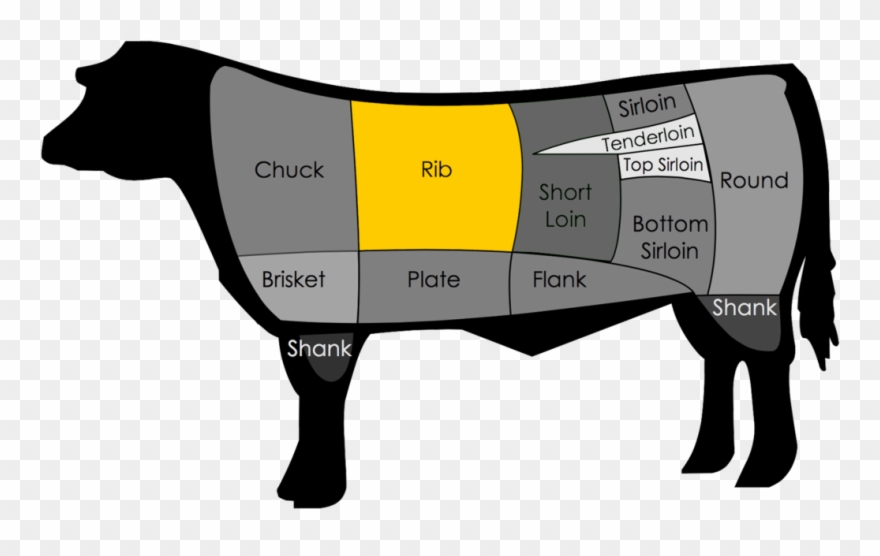 The Rib Section Of Beef Spans From Ribs Six Through - Ribeye Steak Clipart