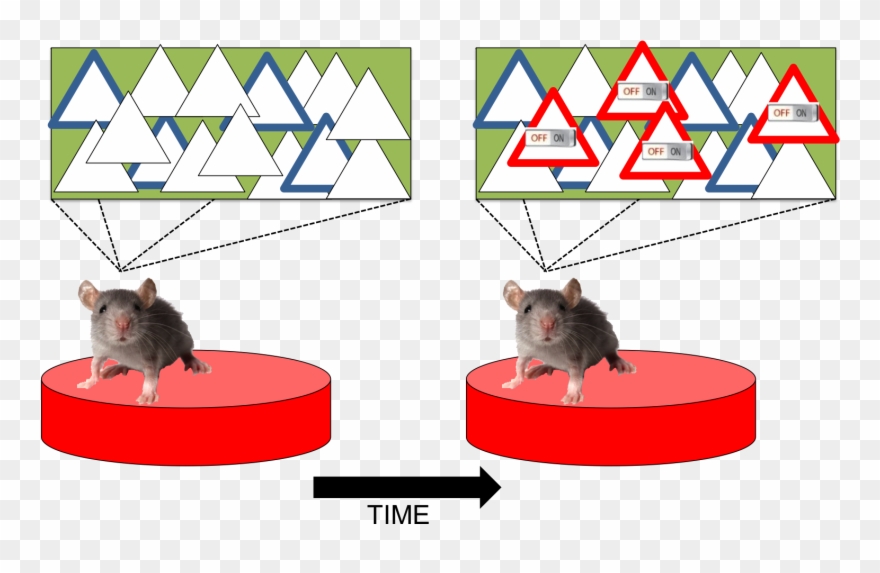 Now For Two Days The Mightymouse Wakes Up In His Home - Rat Clipart