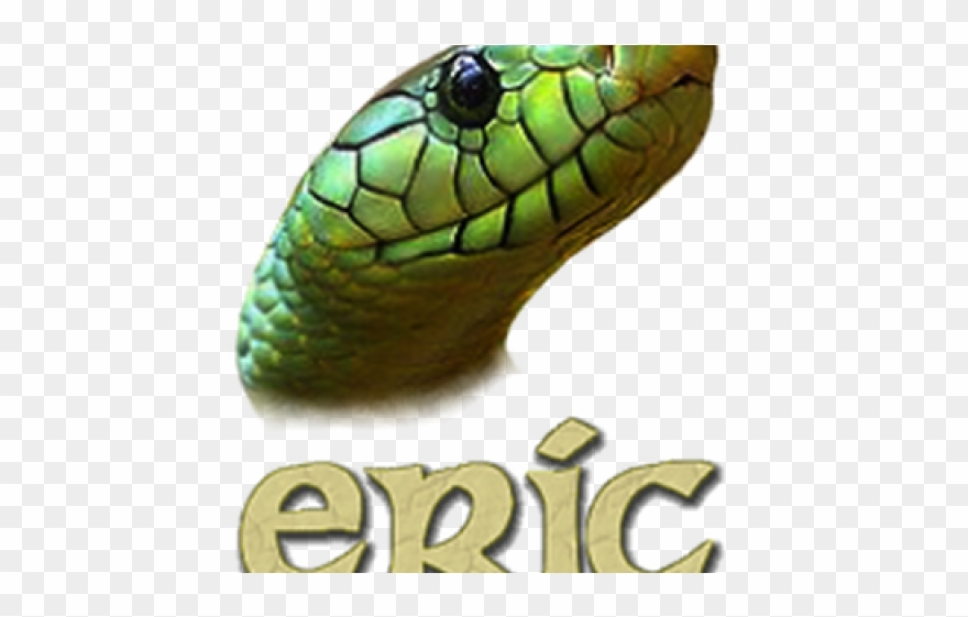 Smooth Green Snake Clipart Finance - Green Snake Galaxy S6 Edge Case - Png Download