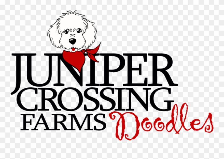 Juniper Crossing Farms - Sold: Blue Acrylic Wire Wrapped Pendant Clipart