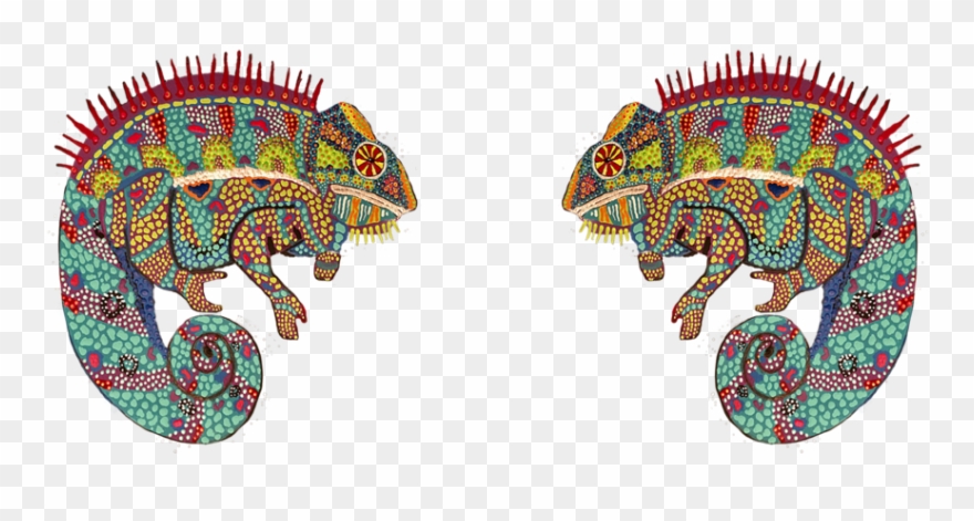 Cosmic Chameleon And Magic Mushroom - Illustration Clipart