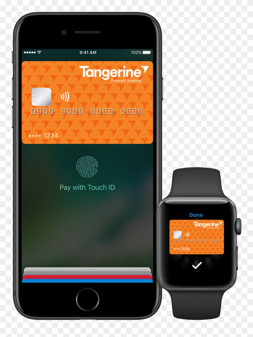 Just Add Your Tangerine Money-back Credit Card To The - Tangerine Clipart