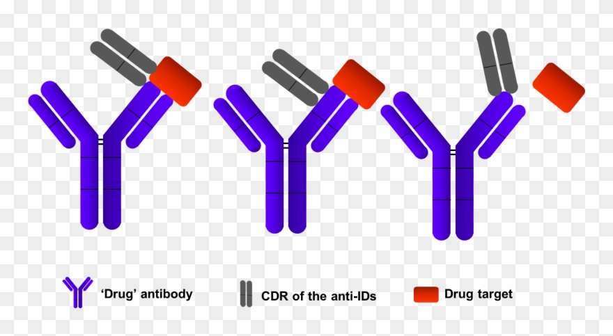 Elisa Assays Development - Anti Drug Antibody Clipart