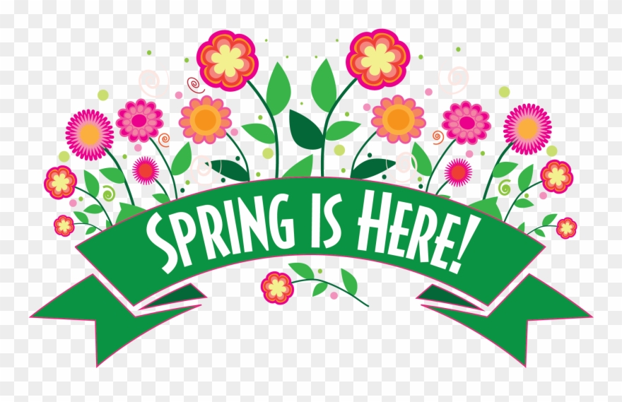 Illustrator Flowers - Education Flowers Clipart