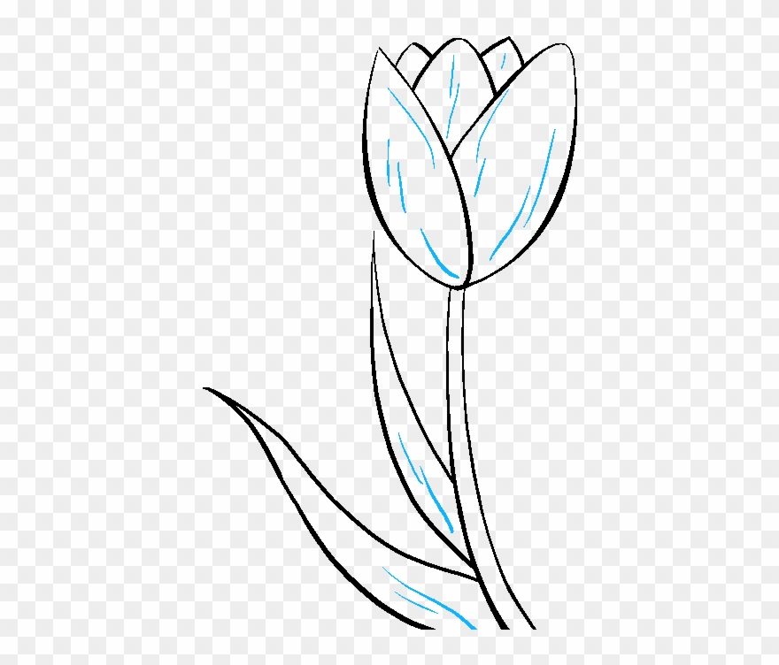 How To Draw Tulip - Drawing Clipart
