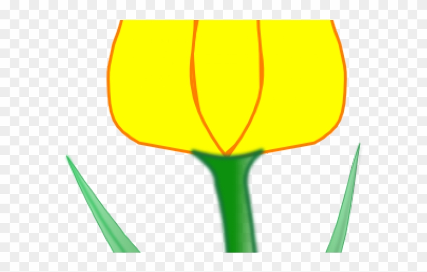 Tulip Clipart Tulip Flower - Clip Art - Png Download