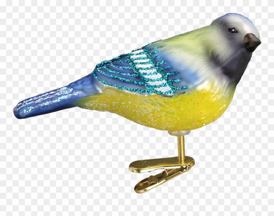 Old Word Christmas Blue Tit Glass Ornament - Old World Christmas Clip Ornament - Steller's Jay - Png Download